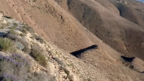 Une promenade montagnarde avec les amis