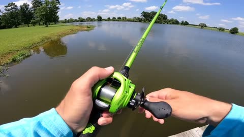 Fishing a BIG Swimbait for Pond MONSTERS!