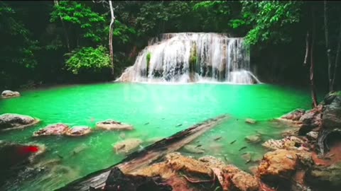 Seagreen Waterfall 🦋