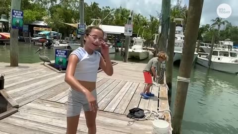 Close one! A girl's arm was almost swallowed by a giant tarpon as she fed it a minnow.