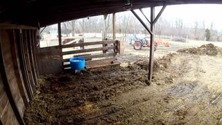 Barnyard cleaning and pasture work.