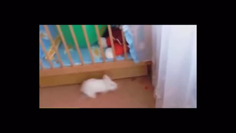 FUNNY WORLD NR.8 - BUNNY POPS BALLON AND SCARES HIMSELF!