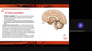 TRILCE SEMESTRAL 2021 | SEMANA 01 | PSICOLOGÍA: FUNDAMENTOS BIOLÓGICOS DE LA CONDUCTA