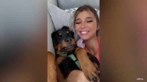 Cute Dog Can't Stop Hugging Their Human - Cute Animal Show Love