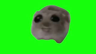 Sad Hamster Cotton Eye Joe | Green Screen