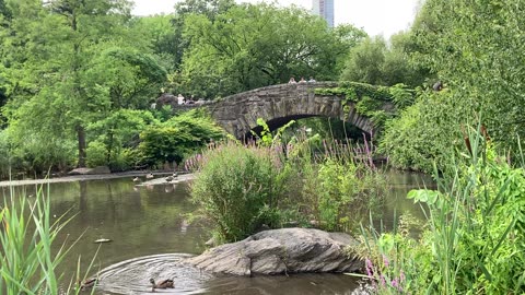 The Pond, Grand Army Plaza, & Central Park Zoo