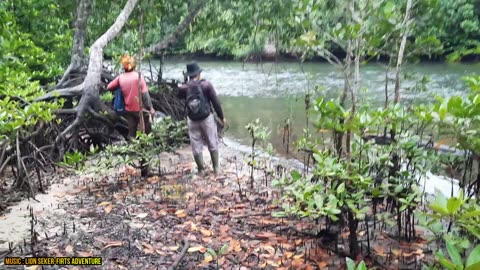 Fishing in the River Estuary