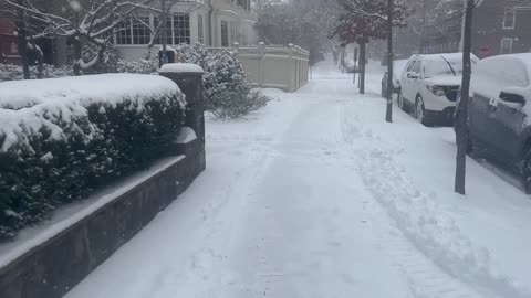 Snowy Serenity: A Magical Walk through Winter Street of Providence, USA! #viral #viralvideo