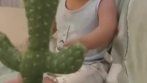 Cute Mexican plush dancing cactus electric plush toy