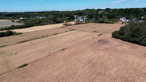 Expect 'even more' heatwaves in the future, French forecaster says