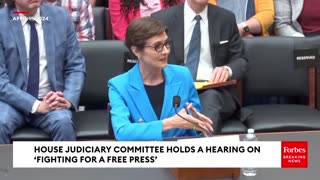 ⚡'Then CBS Fired You?' Jim Jordan Questions Catherine Herridge About Reporting