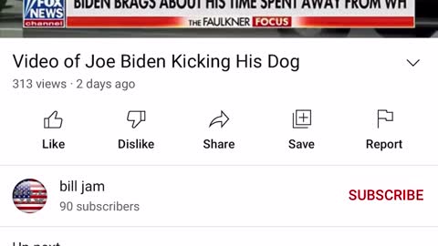 JOE BIDEN KICKING HIS DOG