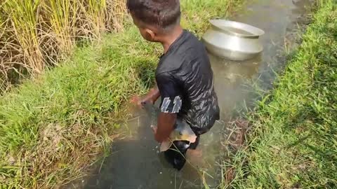 Amazing Traditional Boy Fish Catching By Hand in Water | Amazing Hand Fishing Video