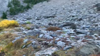 Eastern Oregon – Strawberry Lake + Wilderness – Shoreline of Little Strawberry Lake – 4K