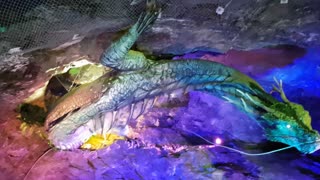 Dragon In Korean Cave