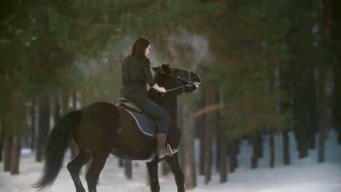 Beautiful longhaired woman riding a black horse