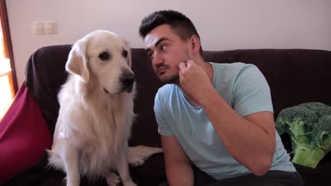 Funny Attempts to Get a Kiss From My Dog in Return for a Treats