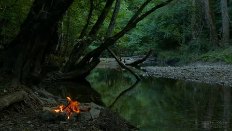 Campfire by the River - Relaxing Fireplace & Nature Sounds - Atakan Simsek