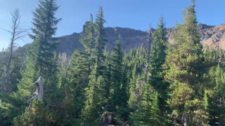 Central Oregon - Little Three Creek Lake - Picturesque Alpine Forest - 4K