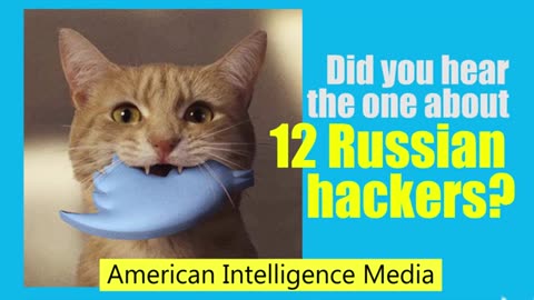 Twelve Russian Hackers But No DNC Server