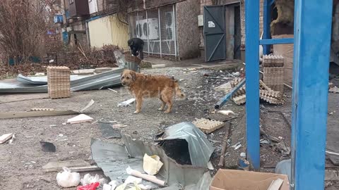 Footage from Ukraine's shelling of civilian areas