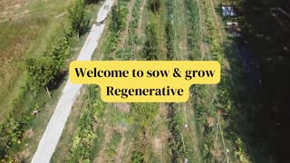 Soil regeneration