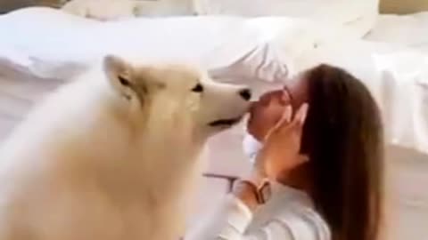 Dog love girl very beautiful video ❤️
