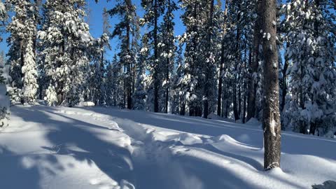 Buckets of Snow – Central Oregon – Swampy Lakes Sno-Park