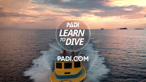 Learn to Dive