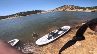 Paddle Boarding with Kate and Charlie