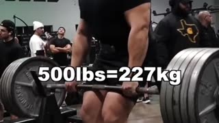 Bent Over Rows 101 Gym or Home (585lbs) 👀💎