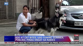 Dog at Cat bites, uso tuwing summer; publiko, pinag-iingat sa rabies