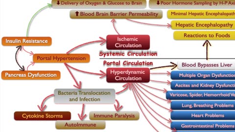 Insulin Resistance Exposed: How Vein Redux Helps Restore Your Metabolic Balance!