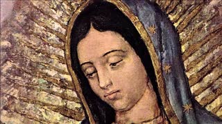 Fr Hewko, Our Lady of Guadalupe 12/12/22 "She Is A Heaven!" (CA)