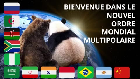 Bienvenue dans le Nouvel Ordre Mondial Multipolaire