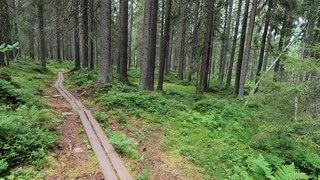 Hässningsberget Trail