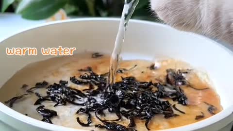 Novel eating method of moon cakes by cat chef #kittygod_cn #catlover #foodtiktok #catsoftiktok