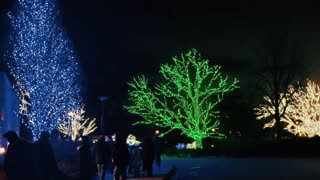 Illumination: Tree Lights at The Morton Arboretum (2022), Lisle, IL