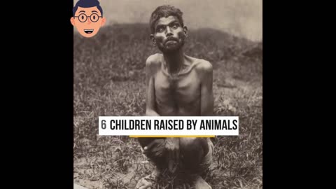 6 Children raised by Animals