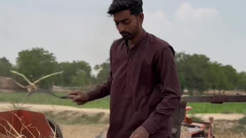 Village Life in Pakistan