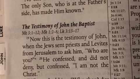 John 1 - MEV Bible