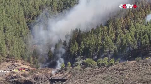 Wildfire Rages through Forest in Spain's Canary Islands
