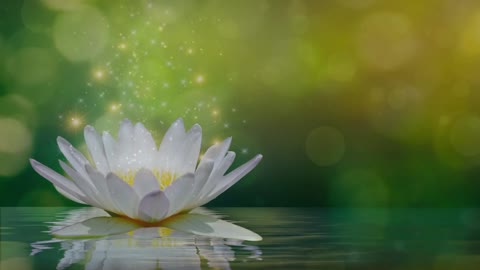 Reiki Music, Healing Sleep Music, Zen Meditation, Energy Healing, Positive Energy, Healing Music