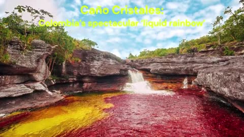 Caño Cristales Colombia’s spectacular ‘liquid rainbow’