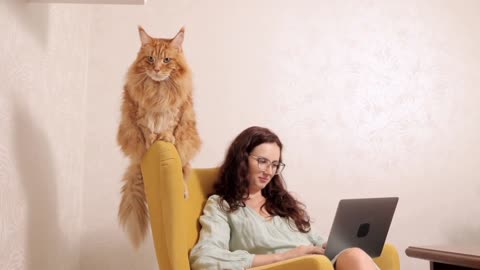 Live Beautiful girl and beautiful cat