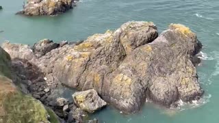 Irish coast and Cliffs