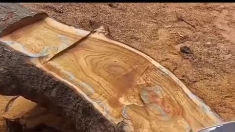 Wood Table Made by Wood | Process of Making Wood Table from a single Wood