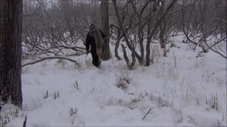 Lynx Trapping with yukonjef