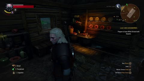 The Witcher 3 - Devil by The Well - Quest