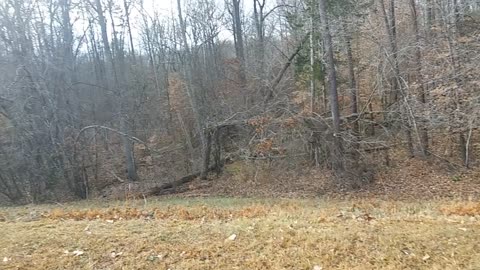 Bronbrook Lake in Cumberland Va